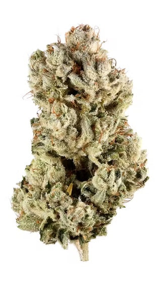 Gorilla Glue (Indica).