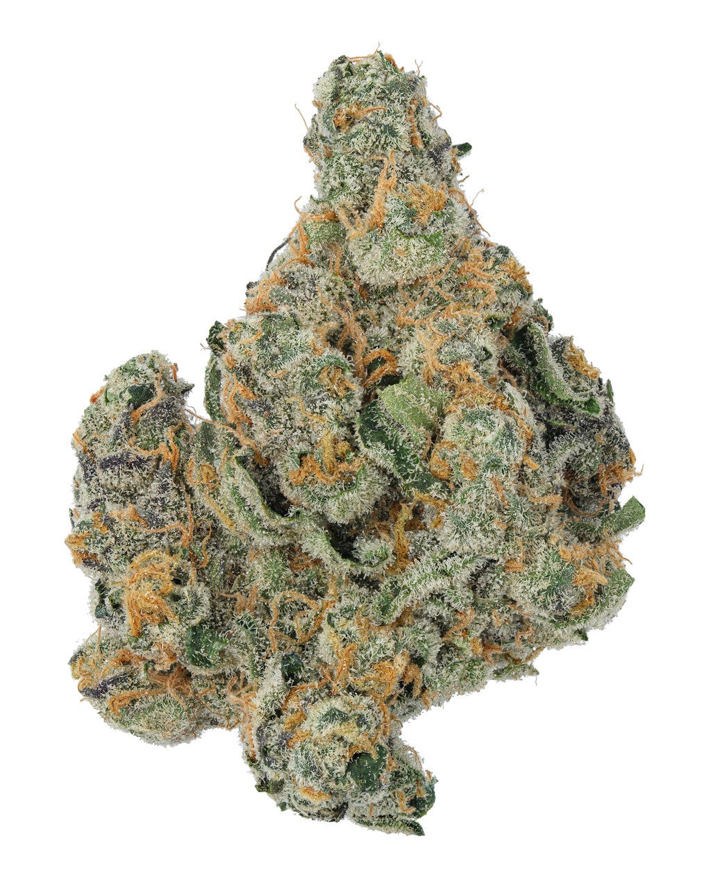 Cheetah Piss (Sativa)