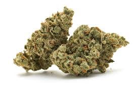 Watermelon Rancher (Sativa)