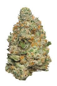 Apple Fritter