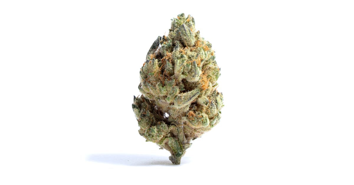 Snow Cone (Sativa)