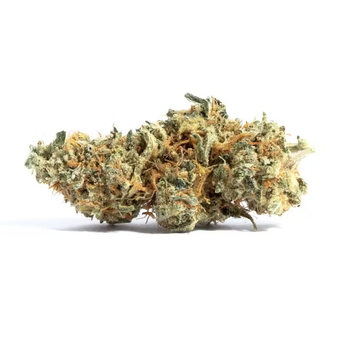 Amnesia (Sativa)