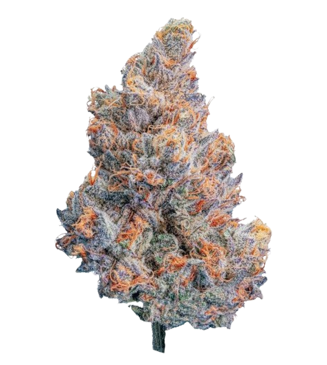 Blueberry Caviar (Indica)