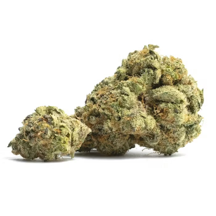 SCP (Super Cherry Platinum) (Sativa)