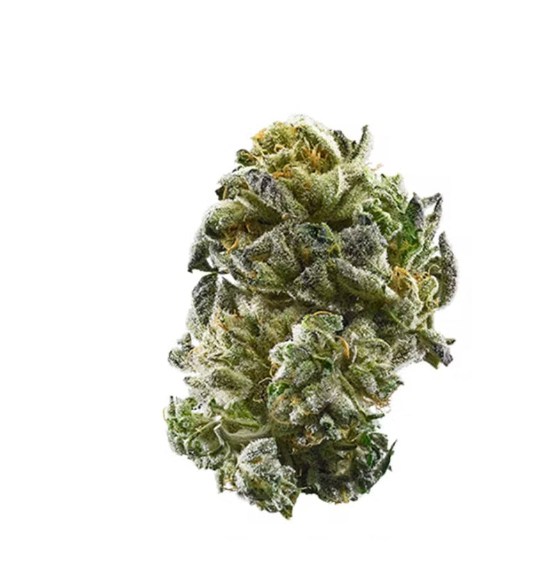 Girl Scout Cookies (Hybrid)
