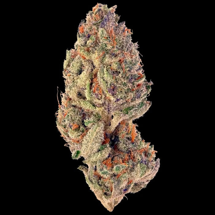 Purple Lemonade (Indica)