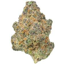 Jello Shot (Indica)