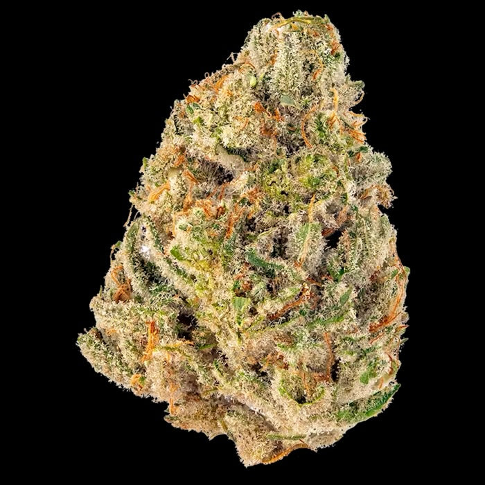 Sunset Strip (Hybrid)