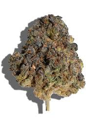 Cherry Candy (Hybrid)