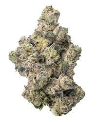 Waffle Cone (Hybrid)