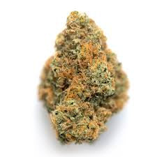 Orange Bang (Indica)