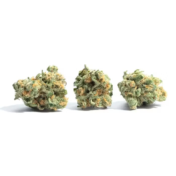 Sour Joker (Sativa)