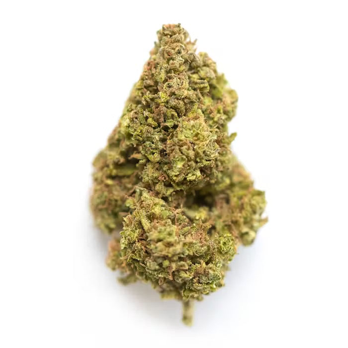 Gelonade (Sativa)