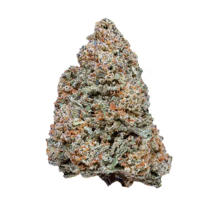 MAC 1 (Indica)