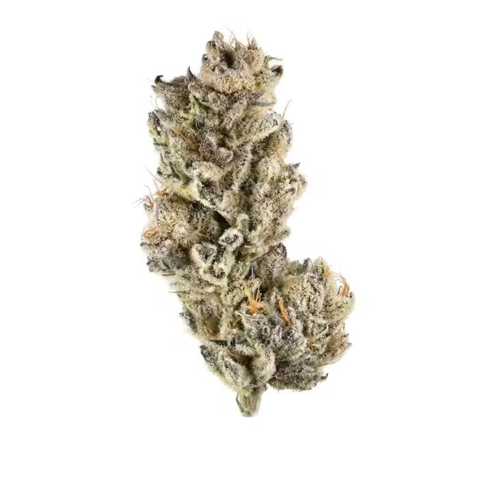 Blue Slushi (Hybrid)