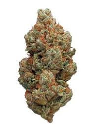 LA Pop Rocks (Hybrid)