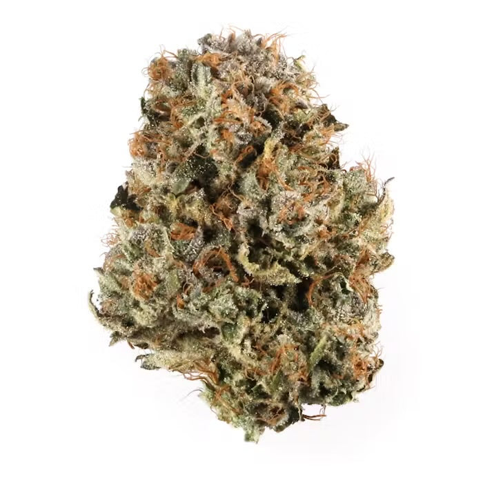 Bio Diesel (Sativa)