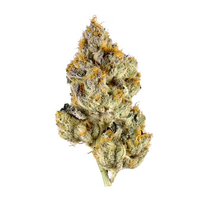 Warheadz (Sativa)