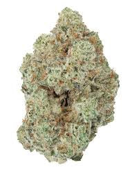 King Louis OG (Indica)